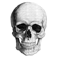 skull - ücretsiz png