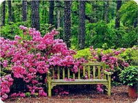 bänk ,blommor träd - kostenlos png