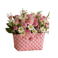 çiçek - PNG gratuit