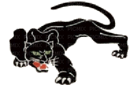 aze panthere noir black - GIF animé gratuit