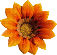 autumn-flower-blomma-minou52 - PNG gratuit