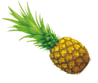 ananas milla1959 - PNG gratuit