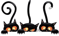 black cats Bb2 - Free PNG