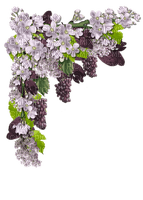 Kaz_Creations Deco Corner Flowers Colours - PNG gratuit