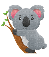 koala bear - PNG gratuit