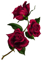 les roses - Free PNG