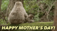 Mothers Day-00000001 - Nemokamas animacinis gif