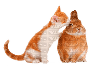 cat and rabbit by nataliplus - besplatni png