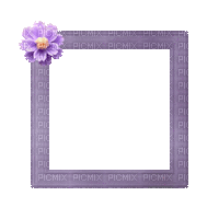 Small Purple Frame - 免费动画 GIF