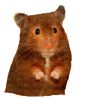 Nina mouse - Gratis animeret GIF