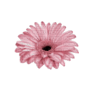 цветочек розовый - GIF animate gratis