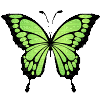 Mariposa - Безплатен анимиран GIF