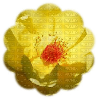 trandafir - 免费PNG