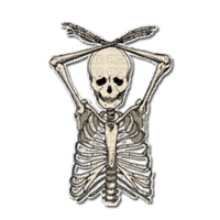 human skeleton - png gratuito