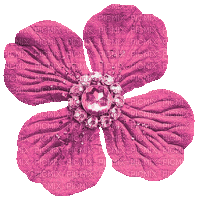 Pink Animated Flower - By KittyKatLuv65 - GIF เคลื่อนไหวฟรี