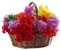 kukka, fleur, flower - 免费PNG