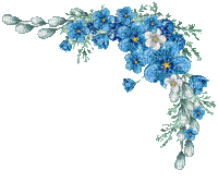 Blue and white flowers - GIF animé gratuit