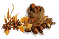 autumn/decoration - 免费PNG