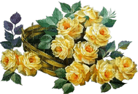 Yellow roses flowers deco [Basilslament] - gratis png