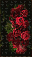 Fleurs.Flowers.Red.Roses.Fond.Victoriabea - Nemokamas animacinis gif