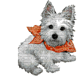 Dog - Bezmaksas animēts GIF