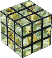 cecily-cube chien - GIF animado gratis