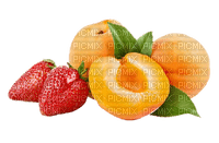 fruit apricots bp - δωρεάν png