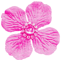 Pink Animated Flower - By KittyKatLuv65 - Free animated GIF