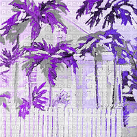 soave background animated summer tropical palm - Kostenlose animierte GIFs