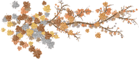 leaves, oksa, lehdet - PNG gratuit