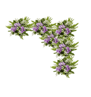 fleurs - darmowe png