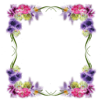 frame-pastel-flower-blommor - PNG gratuit