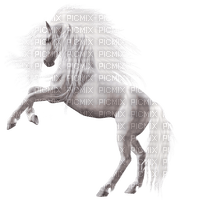 white unicorn - PNG gratuit