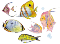 tube animaux aquarium - kostenlos png