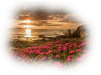 paysage  landscape-scenery-coucher du soleil-sunset-_evening_Blue DREAM70 - PNG gratuit