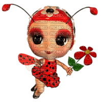 Ladybird - ladybird - nemokama png