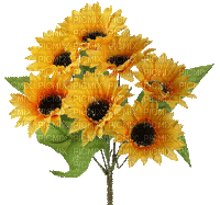 sunflowers gif - Бесплатный анимированный гифка