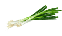 Kaz_Creations Spring Onions - PNG gratuit