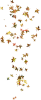 leaves fall autumn feuille leaf - 無料png