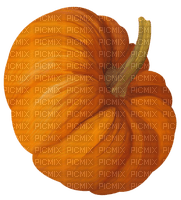 pumpkin Bb2 - gratis png