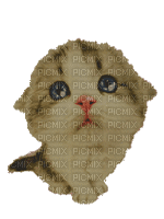 Nina cat sad - Darmowy animowany GIF