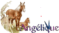 angelique - 免费动画 GIF