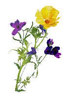 Sprinf Flowers - GIF animate gratis