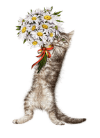 cat chat katze animal flower fleur present  summer ete  tube   spring printemps - 免费PNG