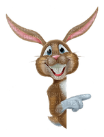 easter bunny lapin pâques