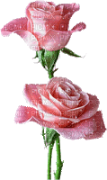 image encre animé effet scintillant barre briller fleurs roses anniversaire mariage pastel ornement edited by me - GIF animé gratuit
