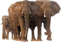 Kaz_Creations Elephants Elephant - zadarmo png