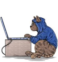 Kaz_Creations Cartoon Cat On Laptop - PNG gratuit