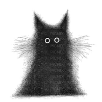 Black cat - darmowe png