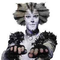 Cats  the musical bp - zdarma png